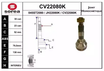 eai-cv22080k
