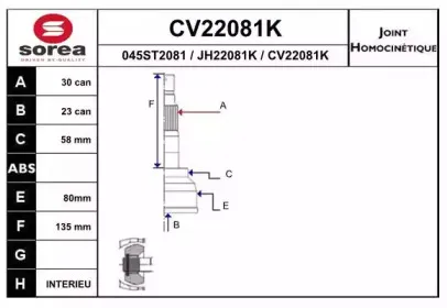 eai-cv22081k
