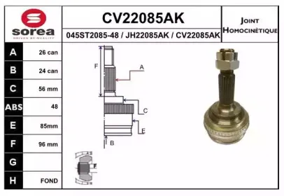 eai-cv22085ak