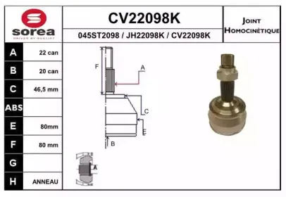 eai-cv22098k