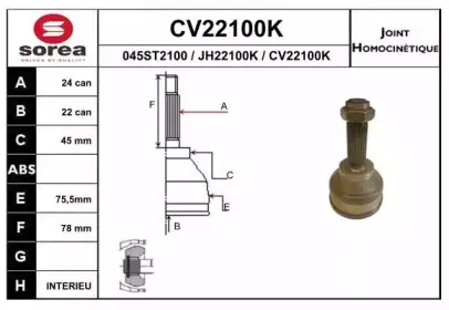 eai-cv22100k