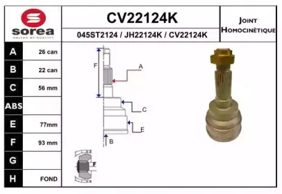 eai-cv22124k