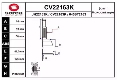 eai-cv22163k