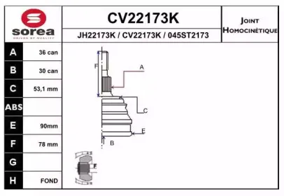 eai-cv22173k
