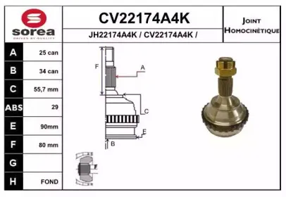 eai-cv22174a4k