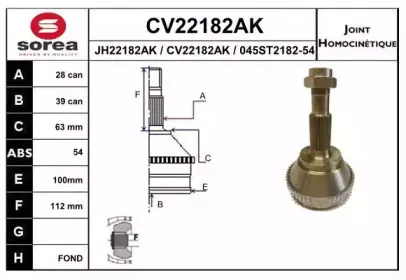 CV22182AK EAI