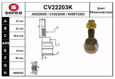eai-cv22203k