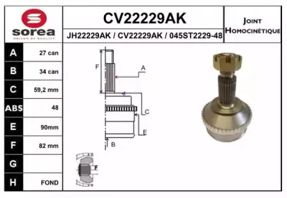 CV22229AK EAI
