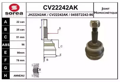 eai-cv22242ak