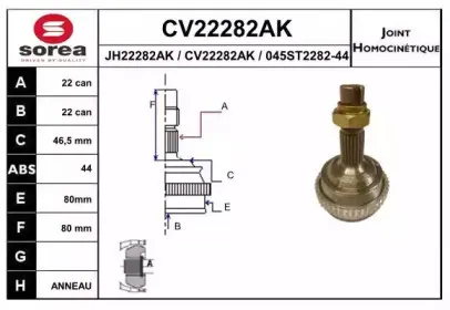 eai-cv22282ak