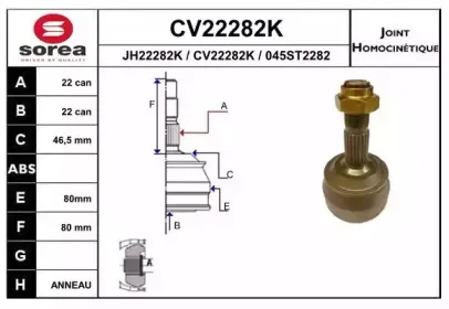 eai-cv22282k