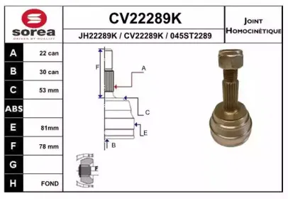 eai-cv22289k