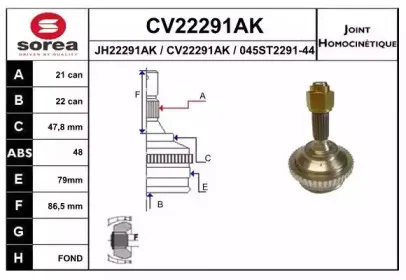 eai-cv22291ak