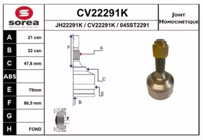 eai-cv22291k