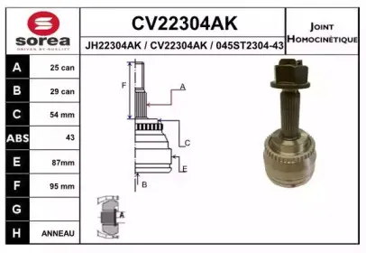 eai-cv22304ak