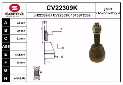 eai-cv22309k