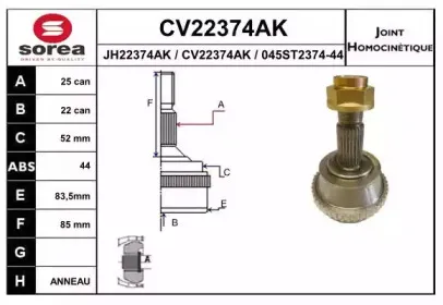 eai-cv22374ak
