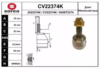 eai-cv22374k