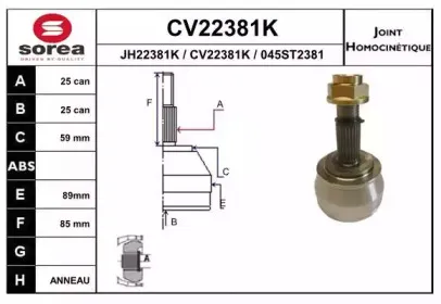 CV22381K EAI