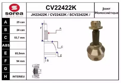 CV22422K EAI