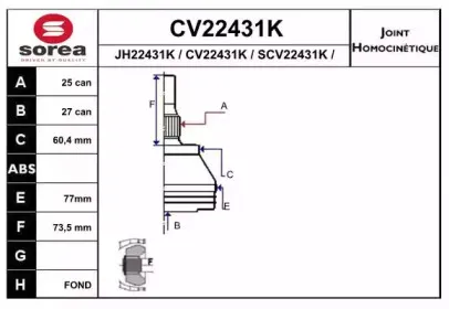 CV22431K EAI