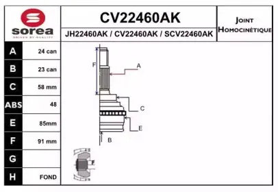 eai-cv22460ak