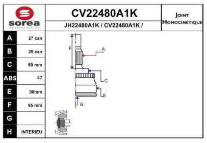 CV22480A1K EAI
