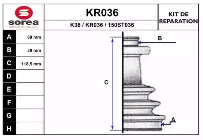 eai-kr036