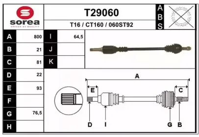 T29060 EAI