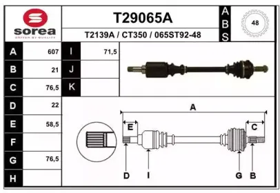 eai-t29065a