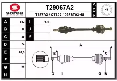 T29067A2 EAI