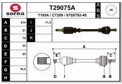 T29075A EAI