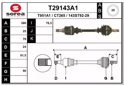 T29143A1 EAI