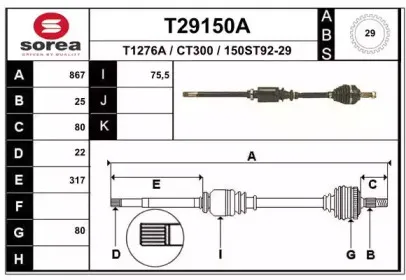 T29150A EAI