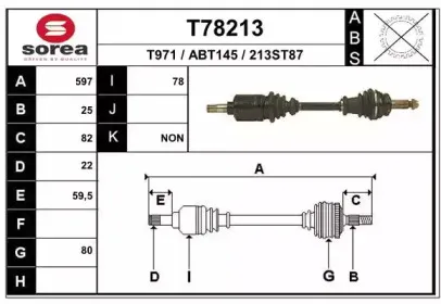 eai-t78213