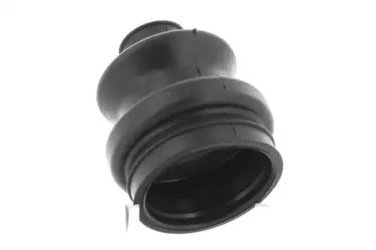 cevam-1118