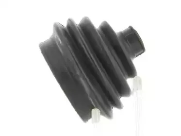 cevam-1156