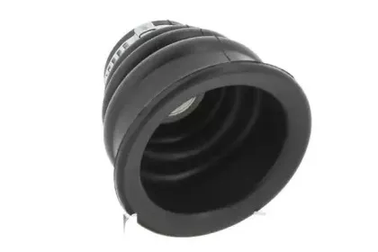 cevam-1256