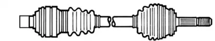 cevam-5953