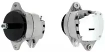 cevam-2137