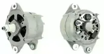 cevam-2429