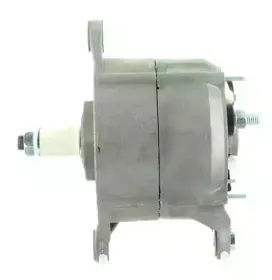 cevam-2429