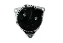 cevam-2445