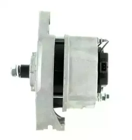 cevam-2481