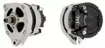 cevam-2482