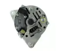 cevam-2484