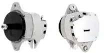cevam-2494