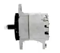 cevam-2494