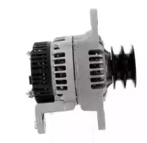 cevam-2519