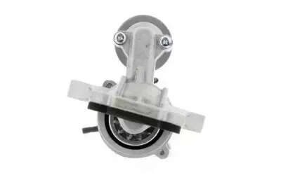 cevam-3131
